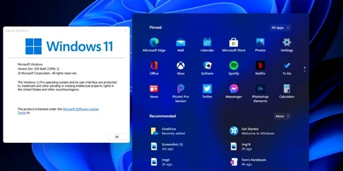 Windows 11