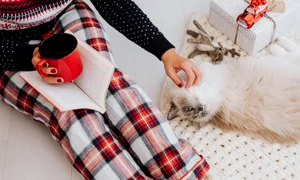 De ce unele case par mai primitoare de sărbători jpg