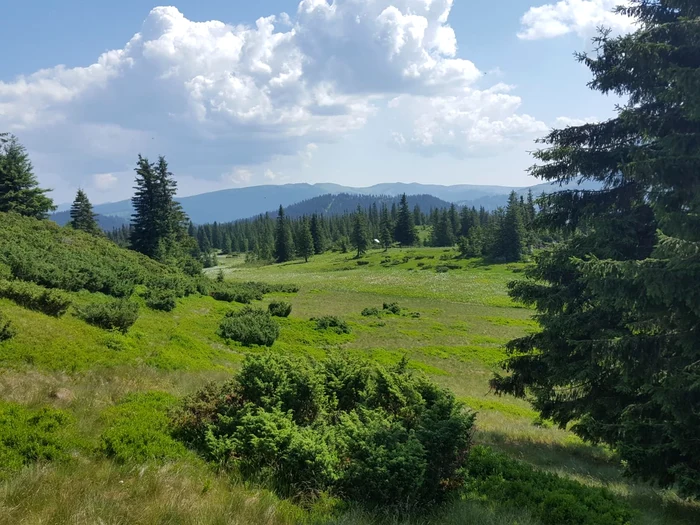 Parcul Natural Munții Maramureșului FOTO Facebook