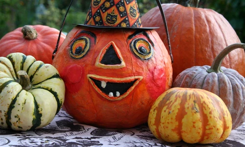 13 bee felten leidel 9du7wljqcbc unsplash jpg jpeg