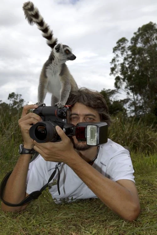 Lemurienii din Madagascar (FOTO CATERS)