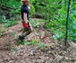 Poteca spre VF Godeanu refăcută Foto Parcul natural Grădiștea muncelului Cioclovina (9) jpg