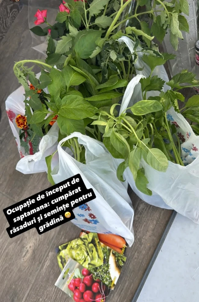 Click.ro galerie imagini