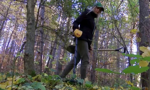 Tezaurul de la Topliceni, descoperit de o tânără de 23 de ani  jpeg