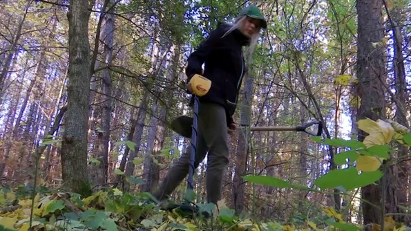 Tezaurul de la Topliceni, descoperit de o tânără de 23 de ani jpeg
