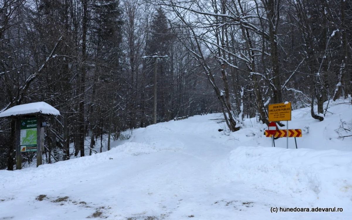 Drum din Parcul Național Retezat. Zona Cârnic - Lolaia. Foto: Daniel Guță. ADEVĂRUL