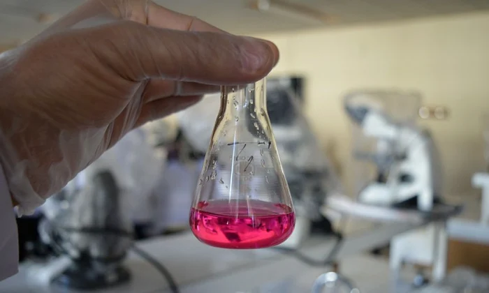 Virusurile preistorice, studiate pentru prima dată într un laborator din Rusia jpeg