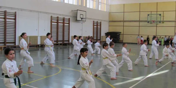 Karatiştii se antrenează pentru Campionatul European