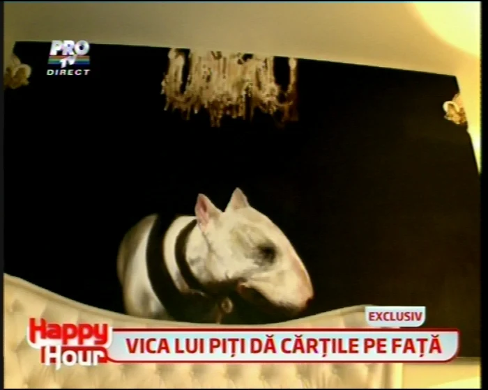 Apartamentul Victoriei FOTO: Happy Hour