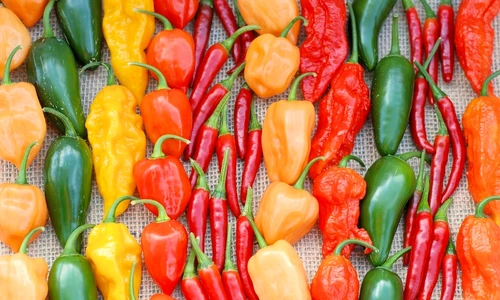 1 shutterstock 362531435 jpg jpeg