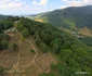 Cetatea dacică Costești  Foto Daniel Guță (17) jpg