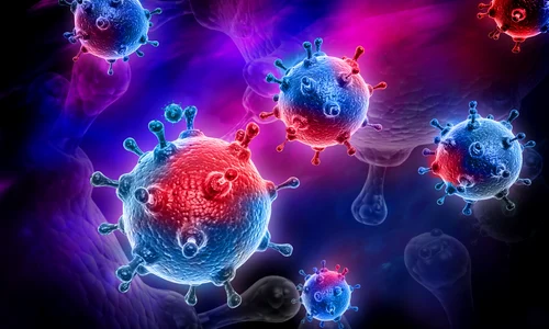 anticopri coronavirus jpeg