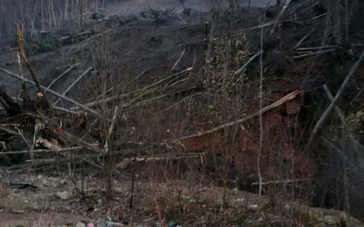 
    Alunecarea de teren amenință gospodăriile localnicilorFoto: ISU Prahova  