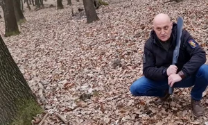 horatiu potra jpg