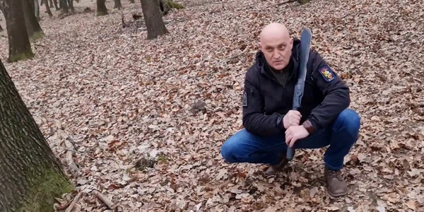 horatiu potra jpg