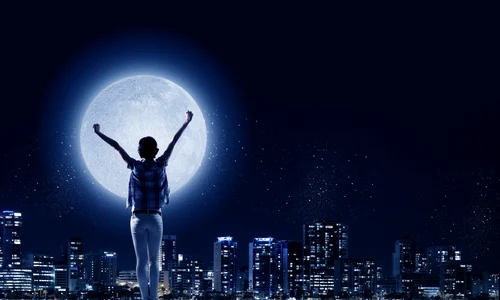 1 42956534 xl jpg jpeg