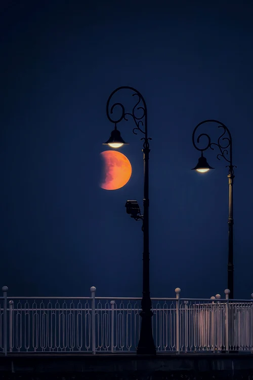 Foto Vasile Mihai Antonio XMAGE 2025 jpg