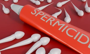 shutterstock 2664883451 jpg