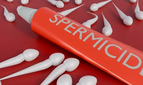 shutterstock 2664883451 jpg