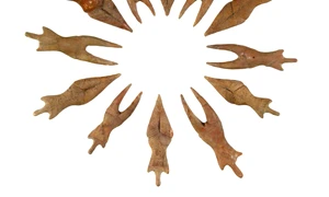 Expoziţie de excepţie în Bucureşti – Cultura Cucuteni jpeg