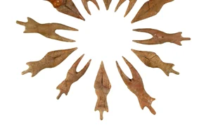 Expoziţie de excepţie în Bucureşti – Cultura Cucuteni jpeg