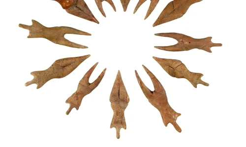 Expoziţie de excepţie în Bucureşti – Cultura Cucuteni jpeg
