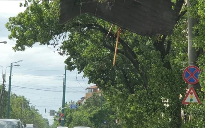 Furtună Timişoara