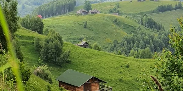 vedere prin fereastra mea jpg