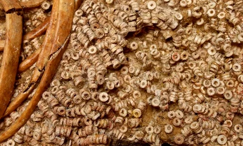 descoperire impresionanta in spania arheologii au gasit un mormant cu peste 270 000 de margele cui apartineau 949183 jpg