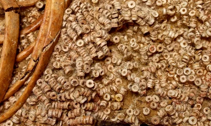 descoperire impresionanta in spania arheologii au gasit un mormant cu peste 270 000 de margele cui apartineau 949183 jpg