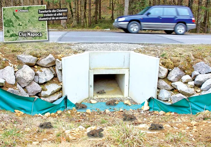 Tunelurile din Chinteni trebuie să aibă diametrul de un metru