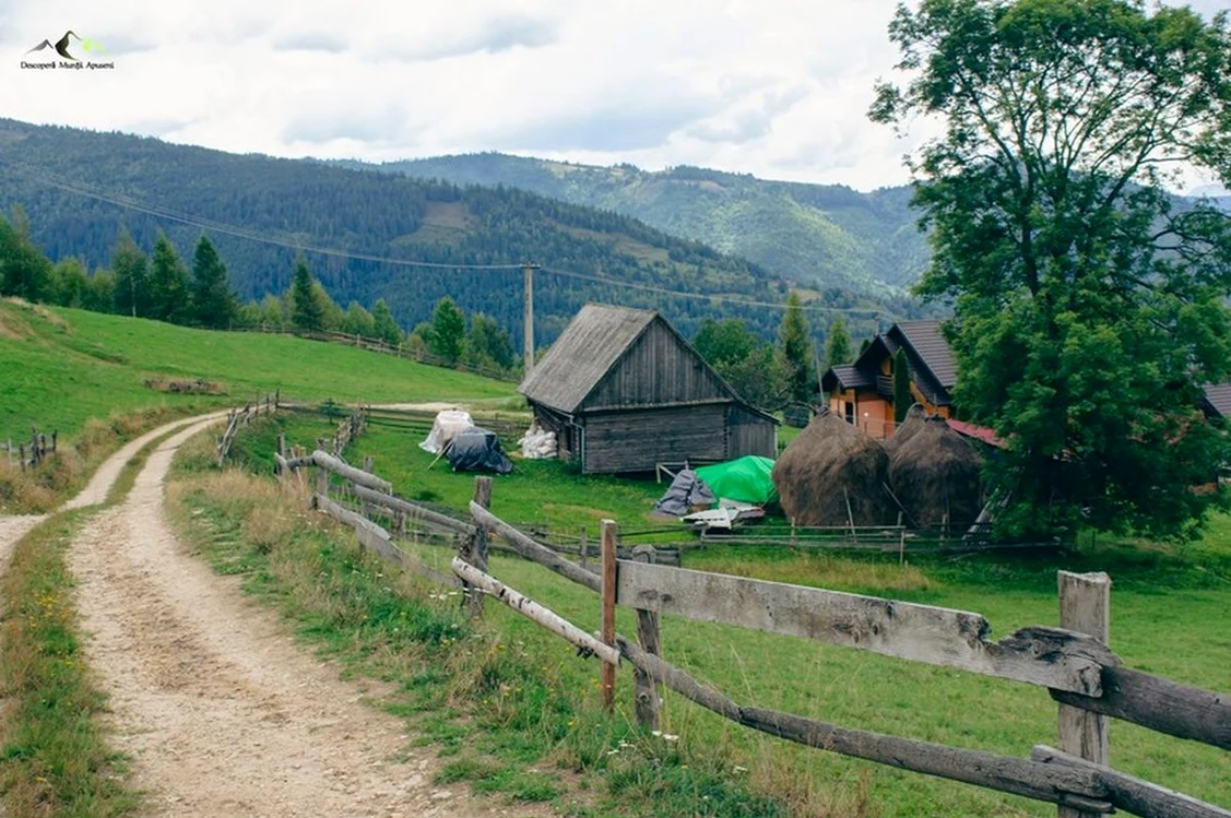 Albac, județul Alba / foto: Descopera Munţii Apuseni