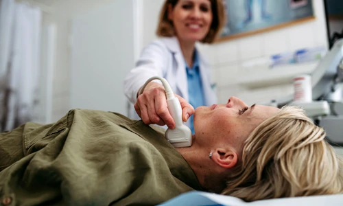 shutterstock 2635839803 jpg