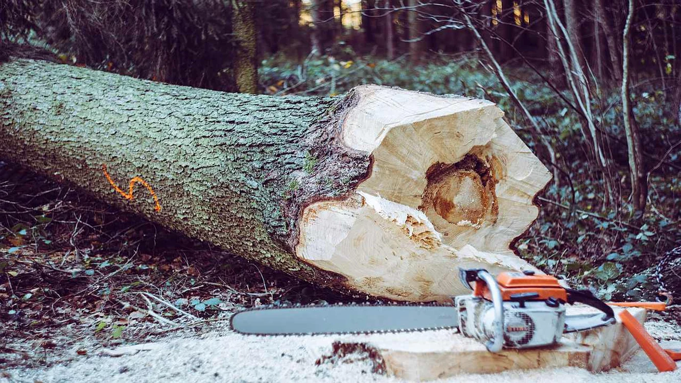 Husqvarnaadevarul ro jpg