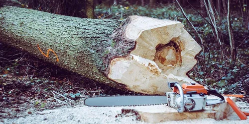 Husqvarnaadevarul ro jpg