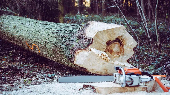 Husqvarnaadevarul ro jpg