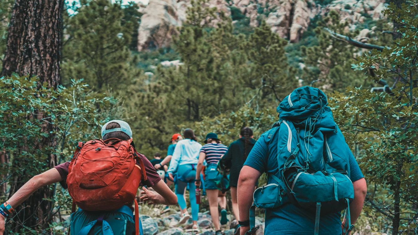 Excursie de coșmar pentru mai mulți elevi din Botoșani. Foto: unsplash.com