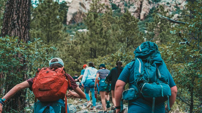 Excursie de coșmar pentru mai mulți elevi din Botoșani. Foto: unsplash.com