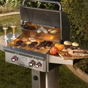 Grătar de exterior pentru gătit BBQ outdoor Sursă Embers Living jpg