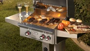 Grătar de exterior pentru gătit BBQ outdoor Sursă Embers Living jpg