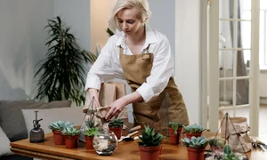 cum amenajam un colt de natura la noi acasa jpg