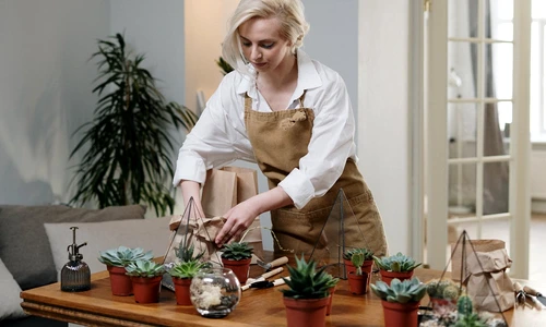 cum amenajam un colt de natura la noi acasa jpg