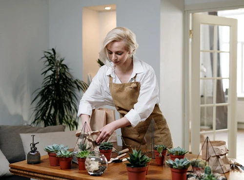 cum amenajam un colt de natura la noi acasa jpg