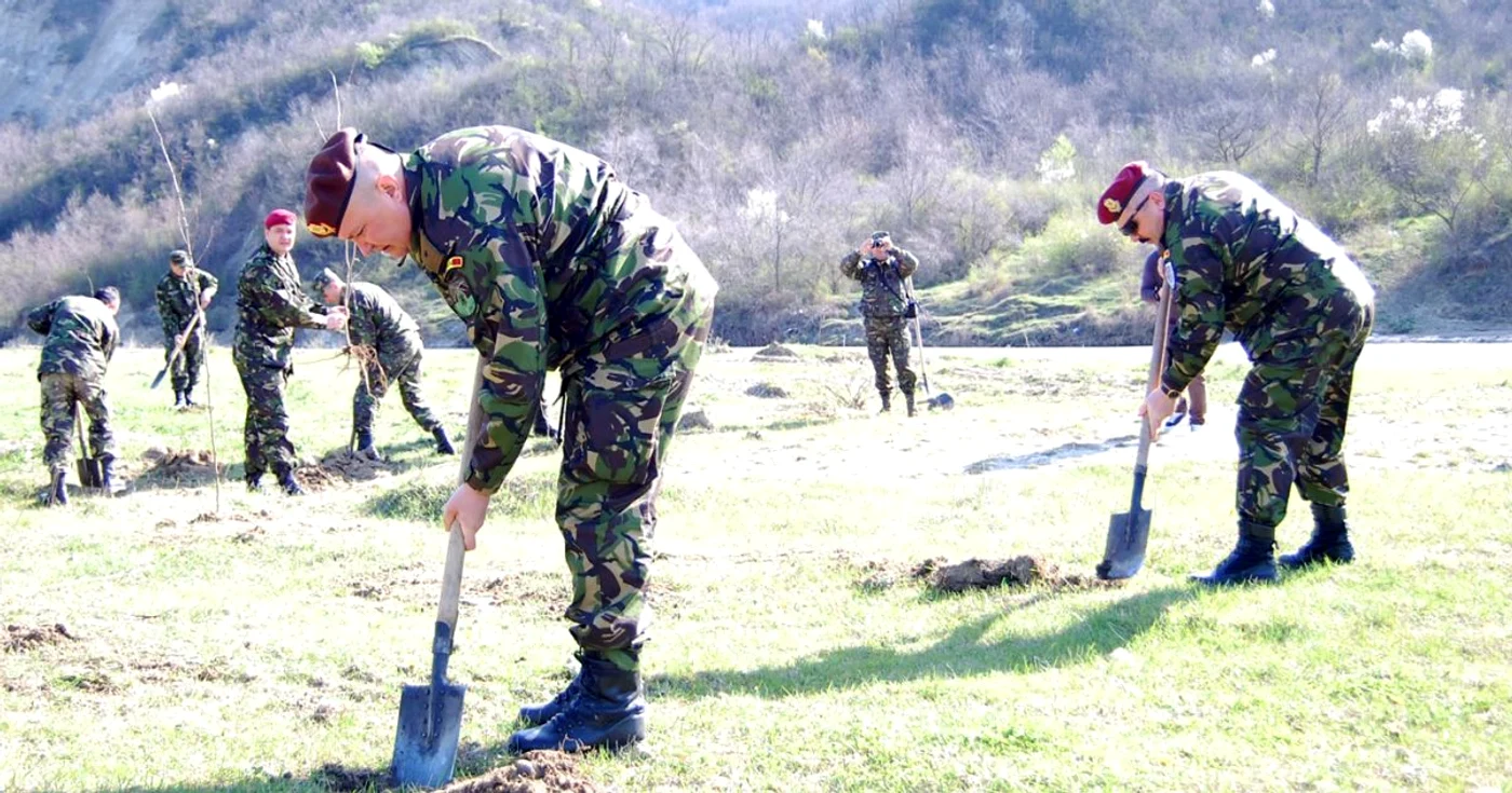 Generalii Ciucă şi Foca au plantat puieţi, alături de subalterni