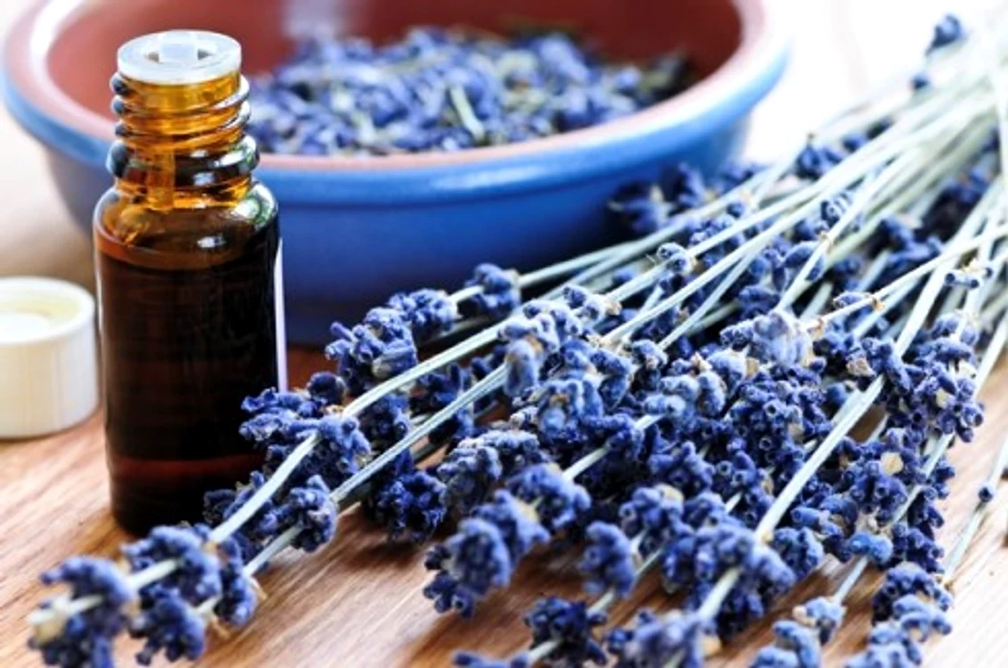 lavanda jpeg
