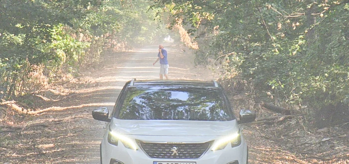 Trafic auto în Pădurea Băneasa, 4 septembrie 2025 FOTO: CenturaVerde.ro