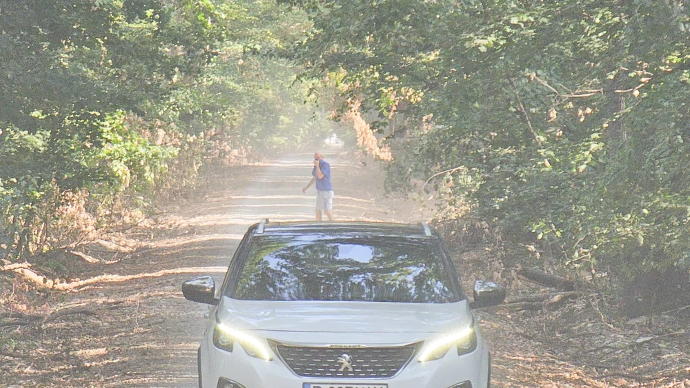 Pădurea Băneasa, plină de praf. Se cere rezilierea contractului care a deschis drumul forestier pentru trafic auto