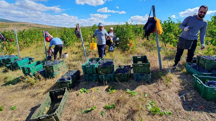 FOTOGRAFII: Adrian Popescu