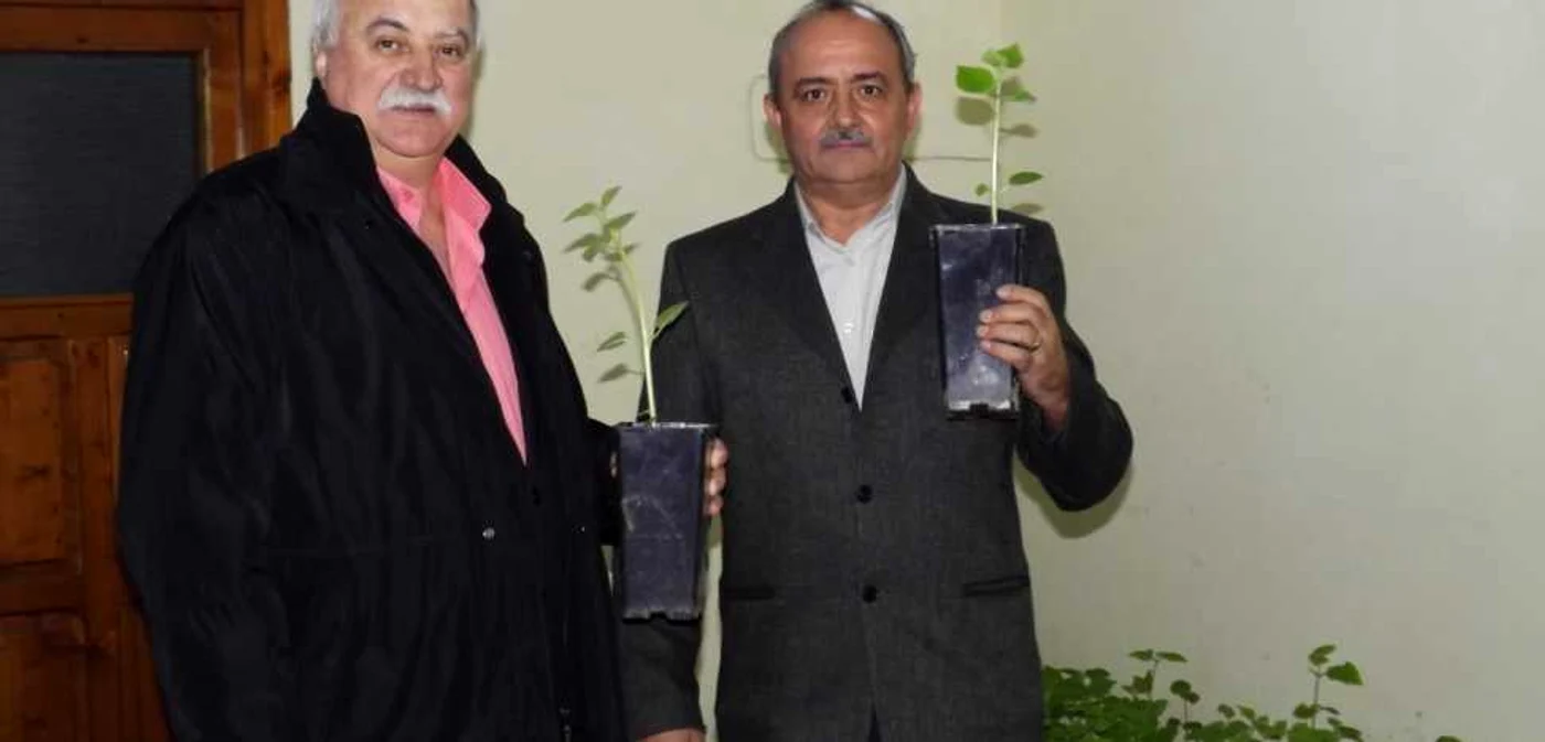 Cei doi bihoreni au pariat pe Paulownia Foto Claudia Bonchiş