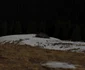  Traversarea Munţilor Leaota